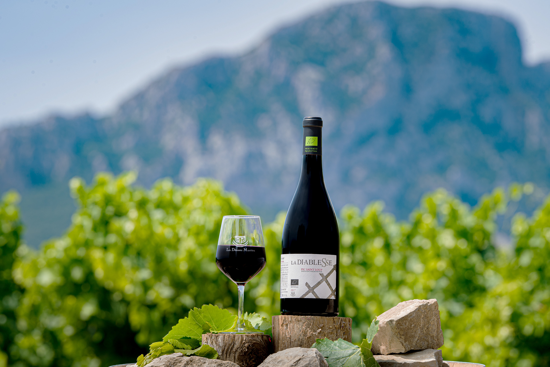 Vins du Pic Saint Loup