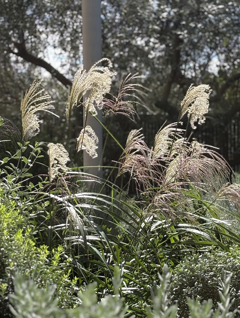 Vignobles des 3 Châteaux