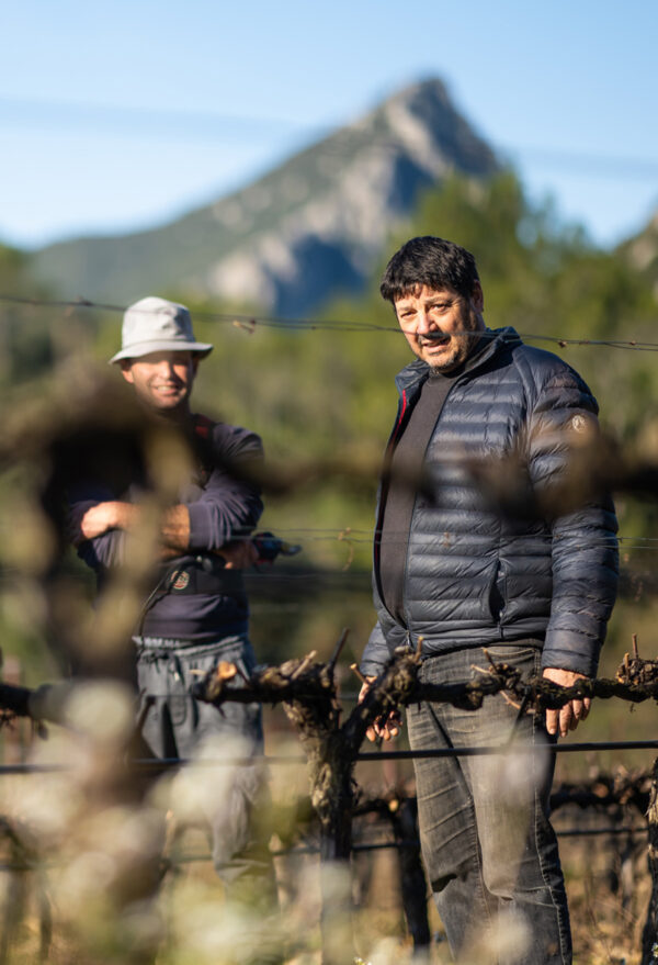 VIGNOBLES DES 3 CHATEAUX — vue 3